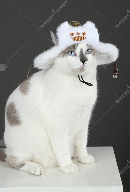 MH Wilds‌ Felyne Cat Cosplay Hat Plush Hat Accessory for Small Pets