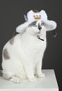 MH Wilds‌ Felyne Cat Cosplay Hat Plush Hat Accessory for Small Pets