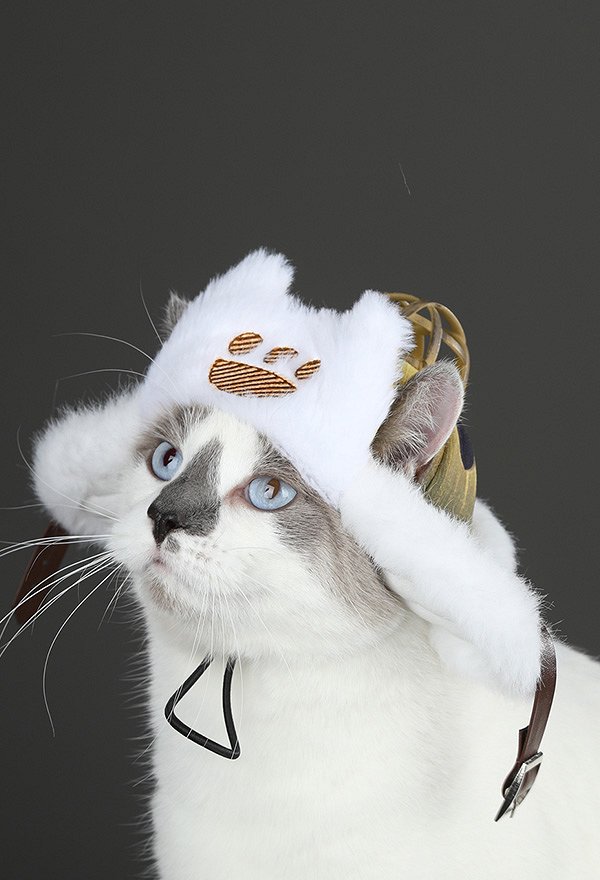 MH Wilds‌ Felyne Cat Cosplay Hat Plush Hat Accessory for Small Pets