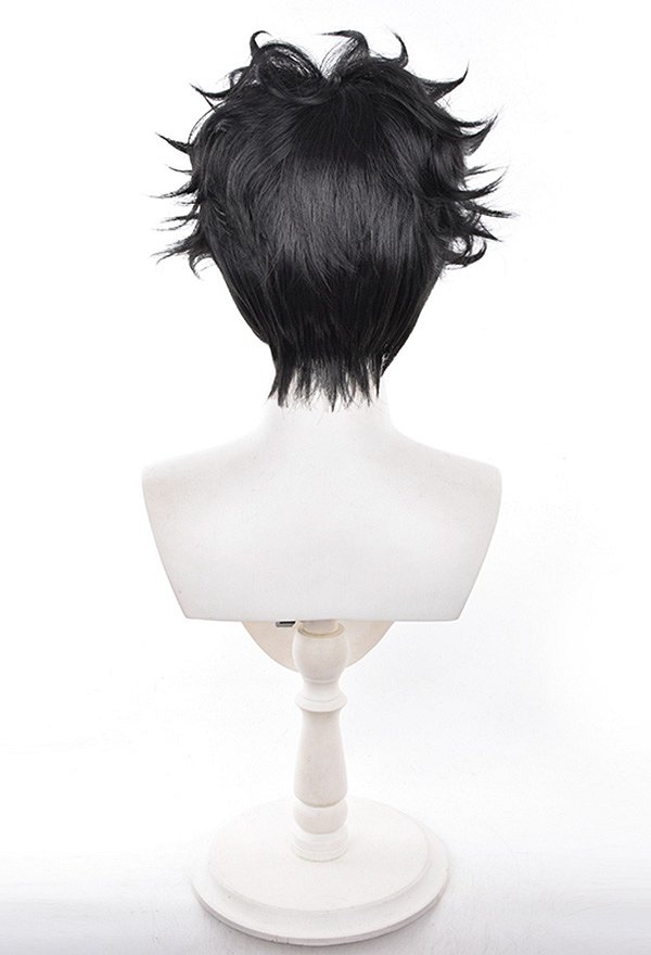 DDD Ken Takakura Cosplay Wig Short Black Short Wig