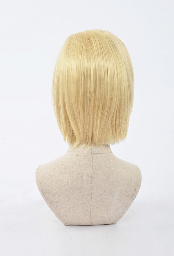 DB Anime Cosplay Peluca