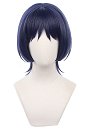 Genshin Impact The Wanderer Balladeer Scaramouche Cosplay Wig