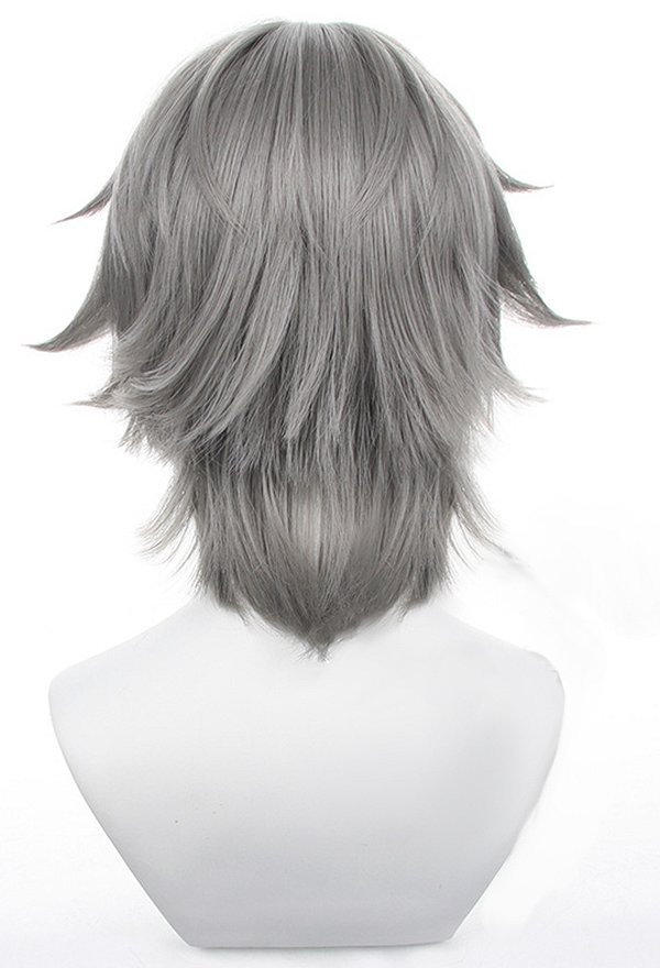 Honkai: Star Rail Trailblazer Male Caelus Cosplay Wig Silver Wig