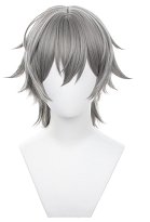 Honkai: Star Rail Trailblazer Male Caelus Cosplay Wig Silver Wig Honkai: Star Rail Trailblazer Male Caelus Cosplay Wig Silver Wig