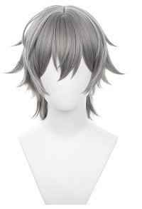 Honkai: Star Rail Trailblazer Male Caelus Cosplay Wig Silver Wig