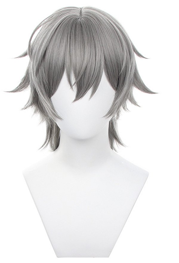 Honkai: Star Rail Trailblazer Male Caelus Cosplay Wig Silver Wig