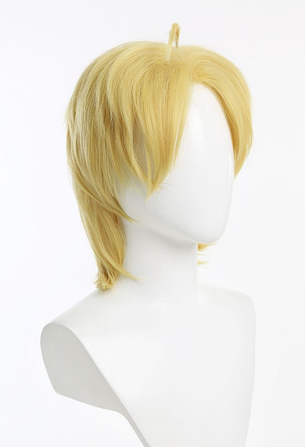 JJBA Steel Ball Run Dio Bulando Teenager Cosplay Wig