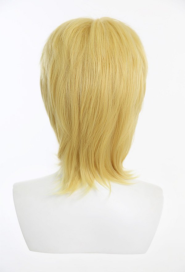 JJBA Steel Ball Run Dio Bulando Teenager Cosplay Wig