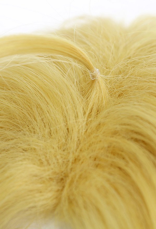 JJBA Steel Ball Run Dio Bulando Teenager Cosplay Wig