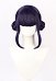 Kpop Slayers Rapper Cosplay Wig Dark Purple and Black Double Bun Short Wig