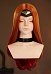 Rival Girl Phoenix Cosplay Wig Dark Orange Wig
