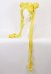 Sailor Moon Tsukino Usagi Cosplay Peluca