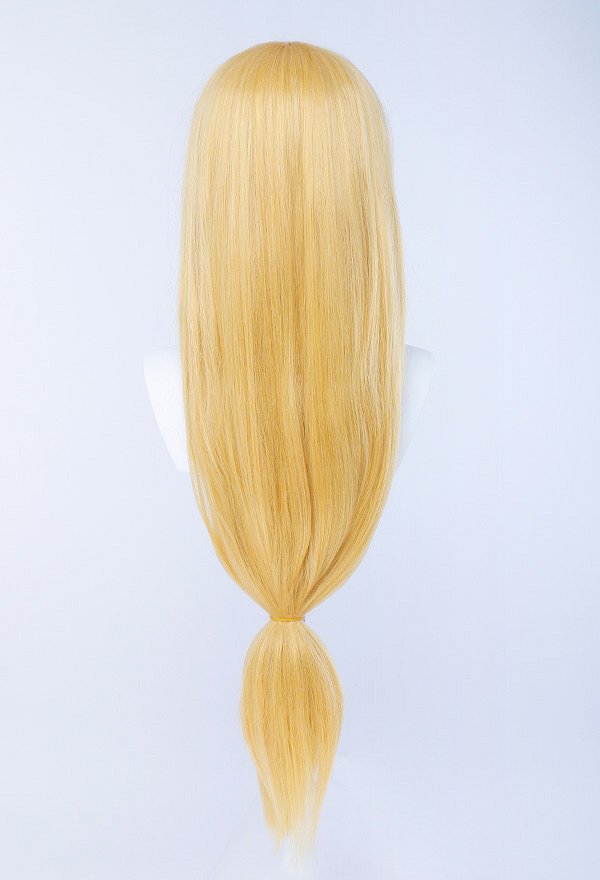 The Legend of Zelda Skyward Sword Princess Zelda Cosplay Peluca